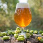 IPA Day Chile