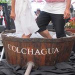 Fiesta de la Vendimia de Colchagua