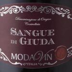 Modavin Sangue di Giuda