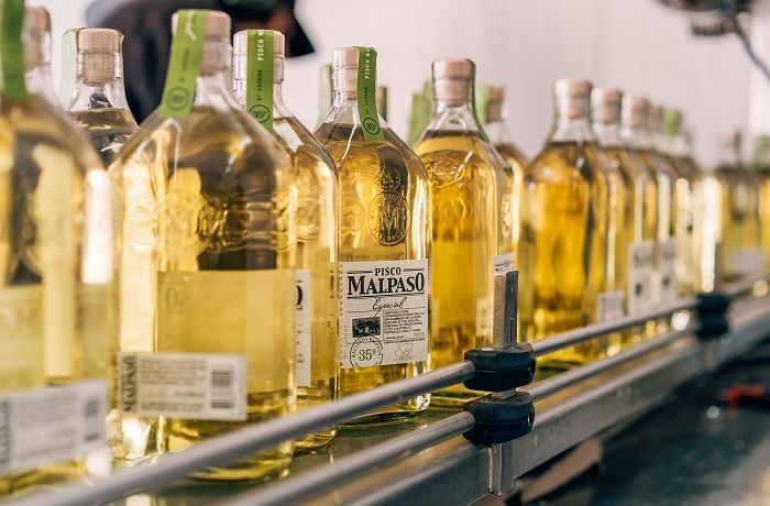 Pisco MalPaso