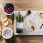 Cócteles-con-Gin