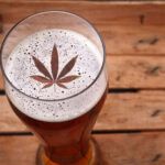 Cata y maridaje de cerveza y marihuana