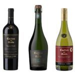 Vinos Concha y Toro