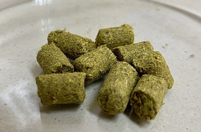 Lúpulo