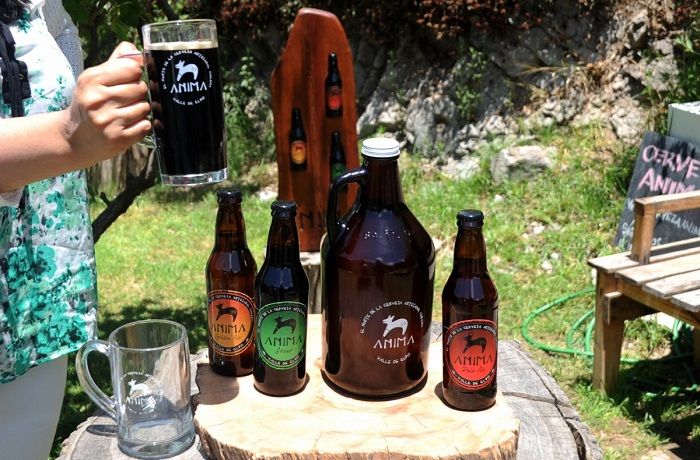 La ruta de la cerveza del Valle del Elqui