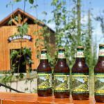 IPA Kunstmann