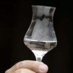 Pisco chileno
