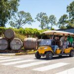 Verano cervecero en Valdivia