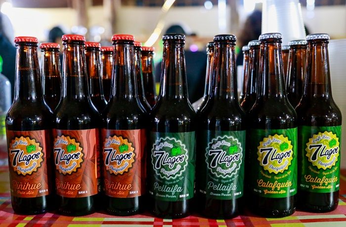 Expo Cerveza Panguipulli