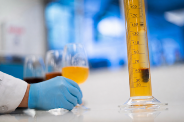 Diplomado en Microcervecería de la PUCV
