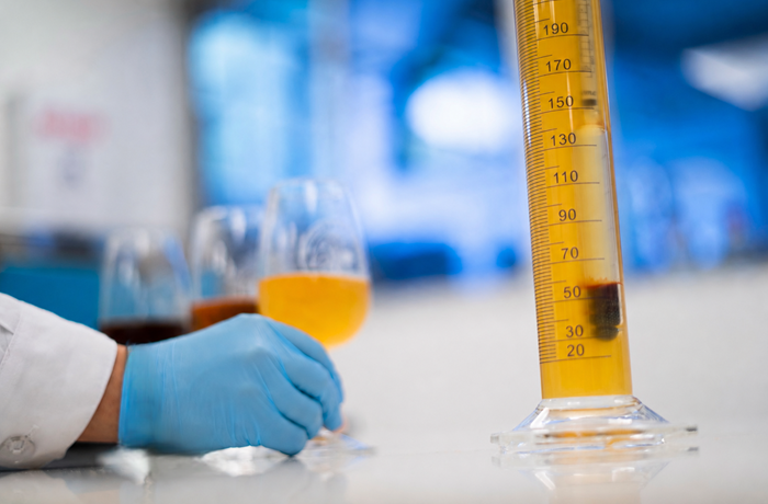 Diplomado en Microcervecería de la PUCV