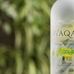 Botella de Waqar Botanic, gin chileno del Valle del Limarí