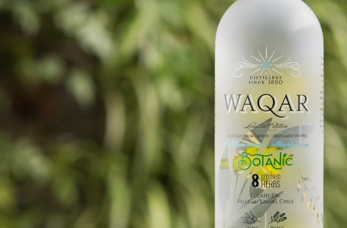 Botella de Waqar Botanic, gin chileno del Valle del Limarí