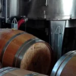 Barricas de Premium Wines S.A., bodega chilena líder en vino fino a granel