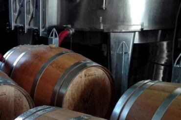 Barricas de Premium Wines S.A., bodega chilena líder en vino fino a granel