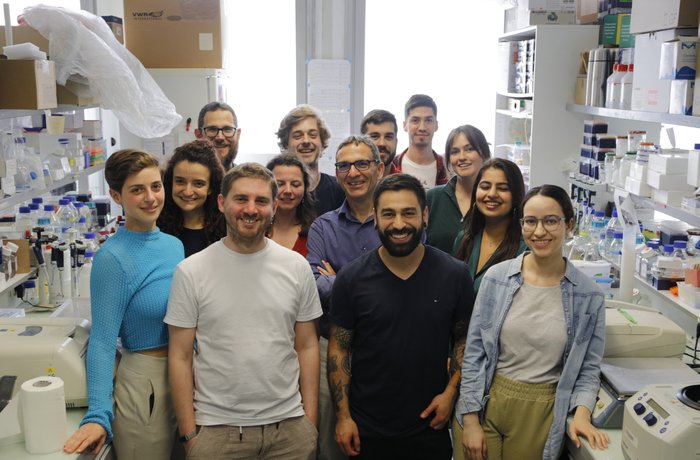 Equipo de investigación en genómica de levaduras, estudio UACh sobre transferencia horizontal de genes